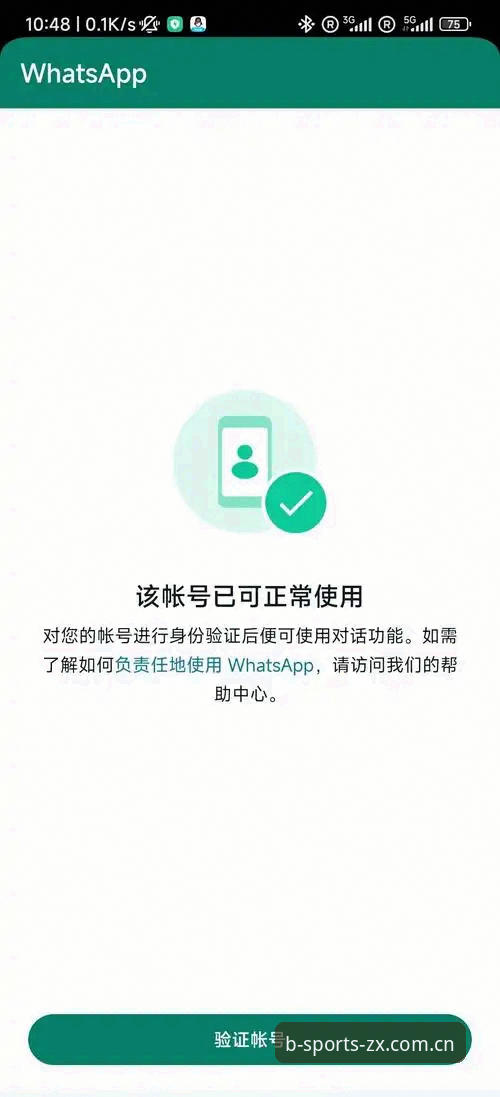 B体育登录入口评测实用指南:从注册异常到稳定访问的完整解决方案